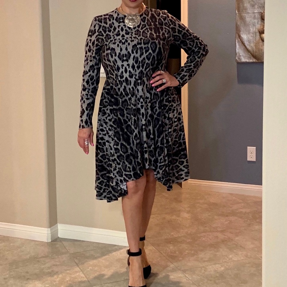 Gabrielle Leopard Dress
